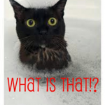 what is it